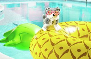 Dash doll with swimming goggles on pineapple pool floaty in pool