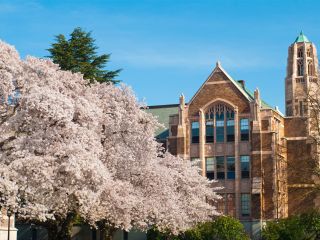 View of tree and building on University of Washington campus