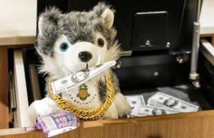 Dash doll in guestroom safe with money in his mouth