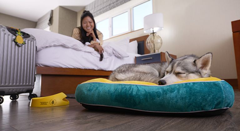 Women on guestroom bed looking ad dog sleeping on dog bed