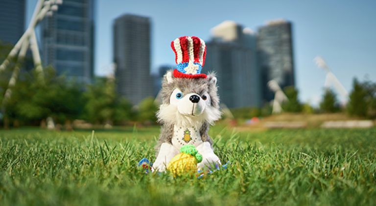 Dash sitting in grass with patriotic hat