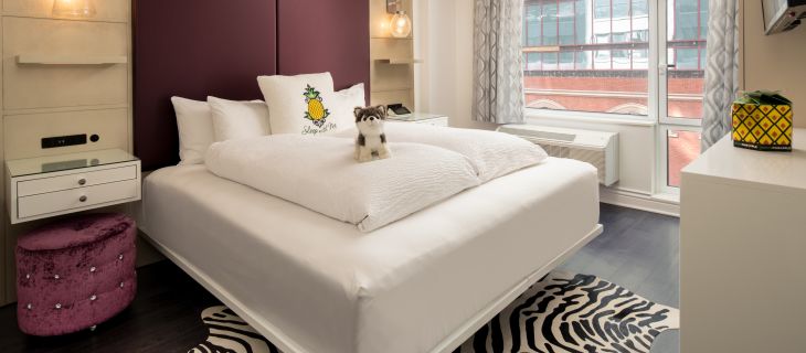 My Airbnb Hotel Stay: Staypineapple New York