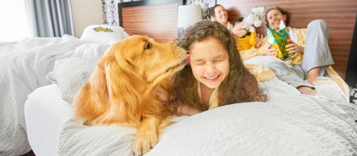 Staypineapple and Angie Hospitality Offer Comfortable, Contactless Experience for Guests and Their Pets
